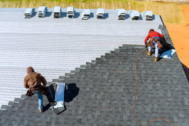Best Roof Gutter Cleaning  in Yuma, AZ